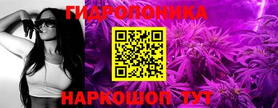 метадон Гусев