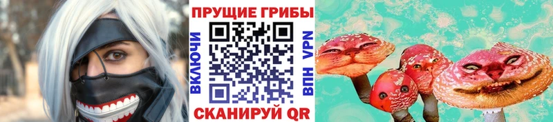 Галлюциногенные грибы Psilocybine cubensis  Заволжье 