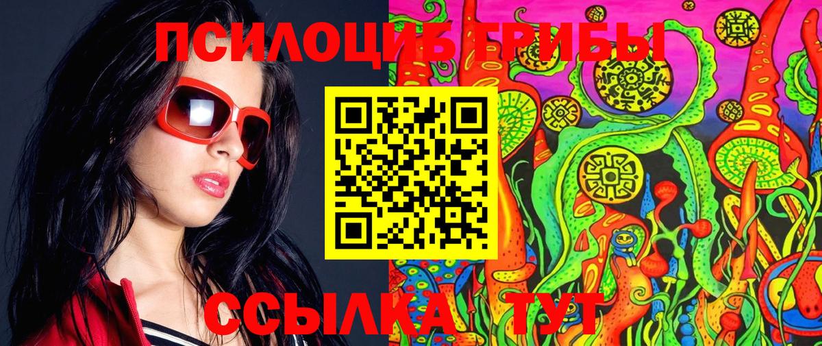 Псилоцибиновые грибы GOLDEN TEACHER  Заволжье  Псилоцибиновые грибы MAGIC MUSHROOMS 