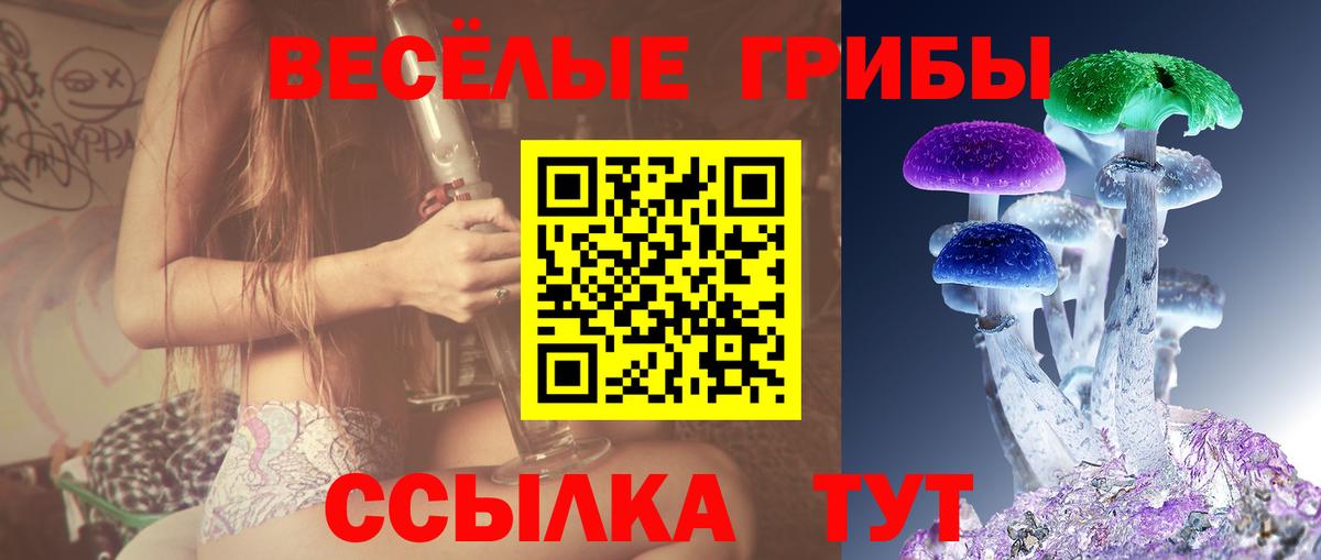 Псилоцибиновые грибы ЛСД Заволжье