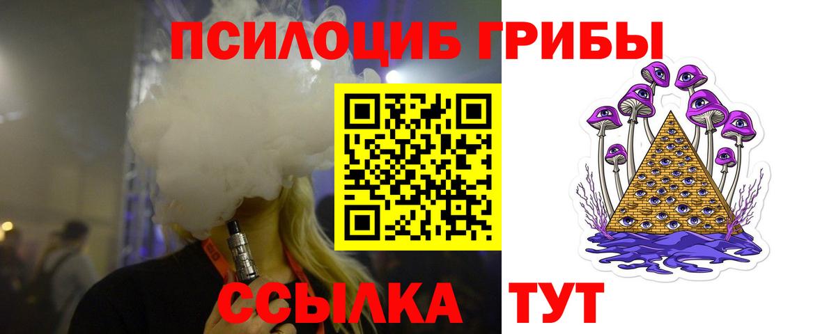 Заволжье  сколько стоит  Вход с VPN  Псилоцибиновые грибы Psilocybine cubensis 